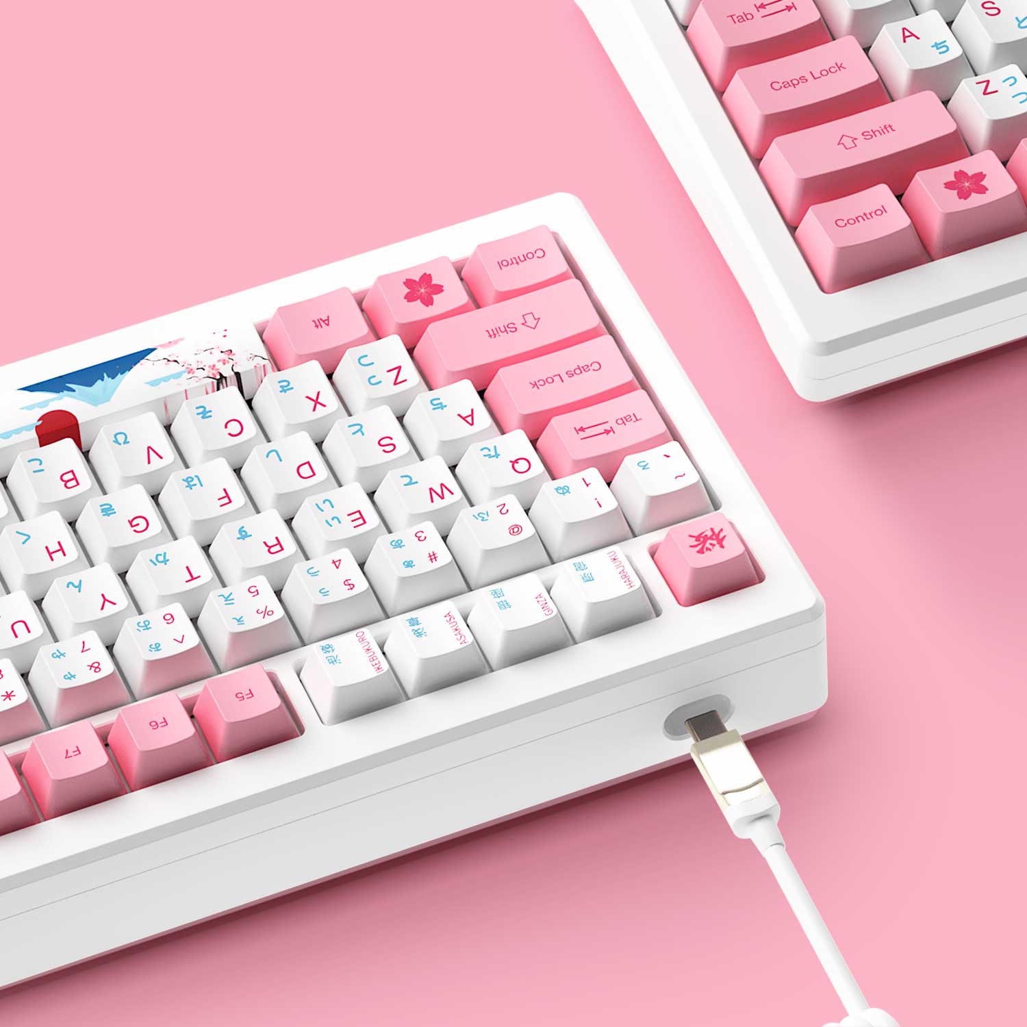 MOD-007B-PC-Tokyo-R2-Details