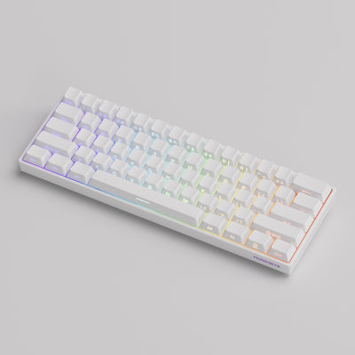 #색상_Moonlight White