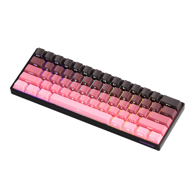 #색상_Black&Pink Gradient