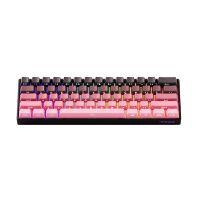 #색상_Black&Pink Gradient