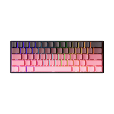 #색상_Black&Pink Gradient