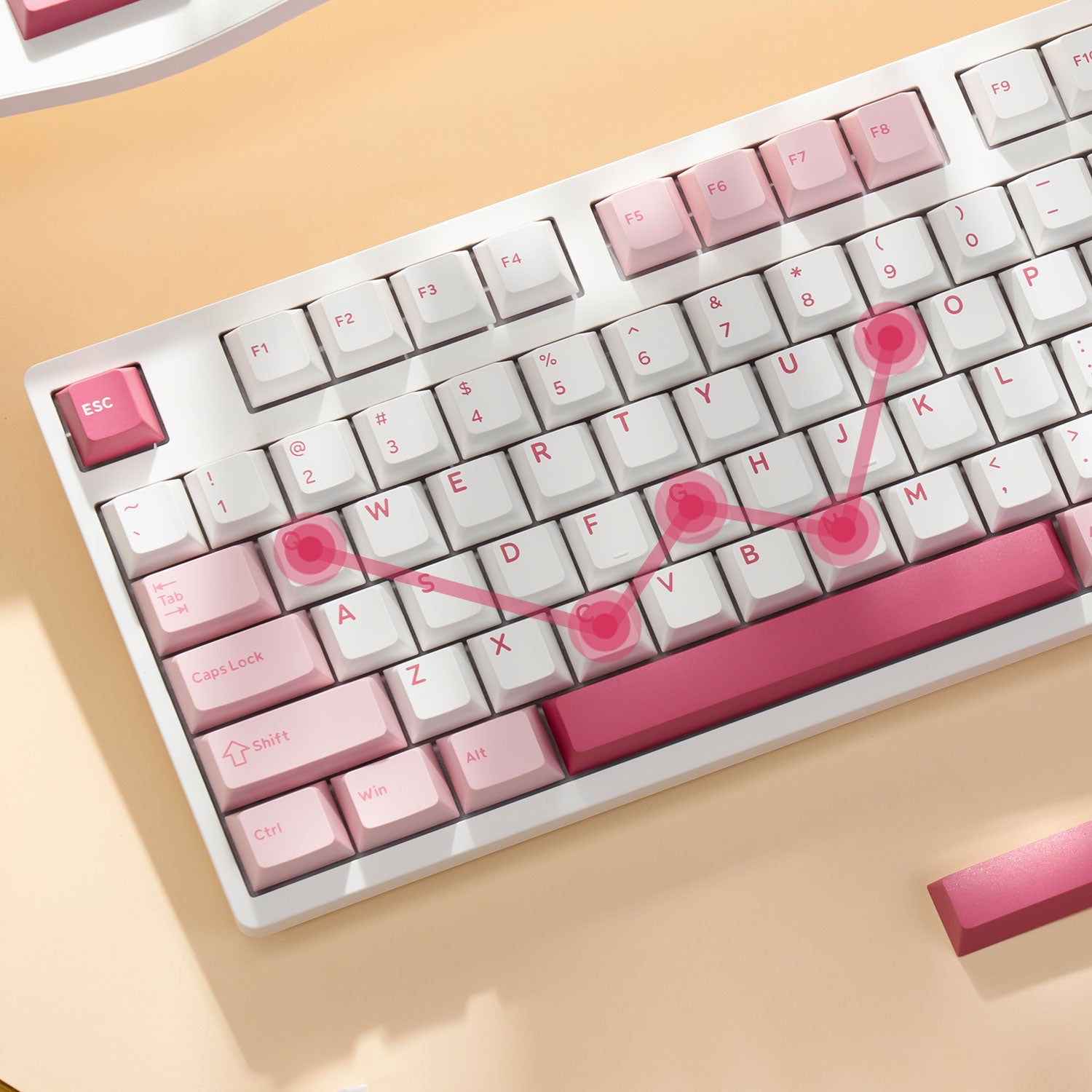 Prunus-Lannesiana-3108RF-V3