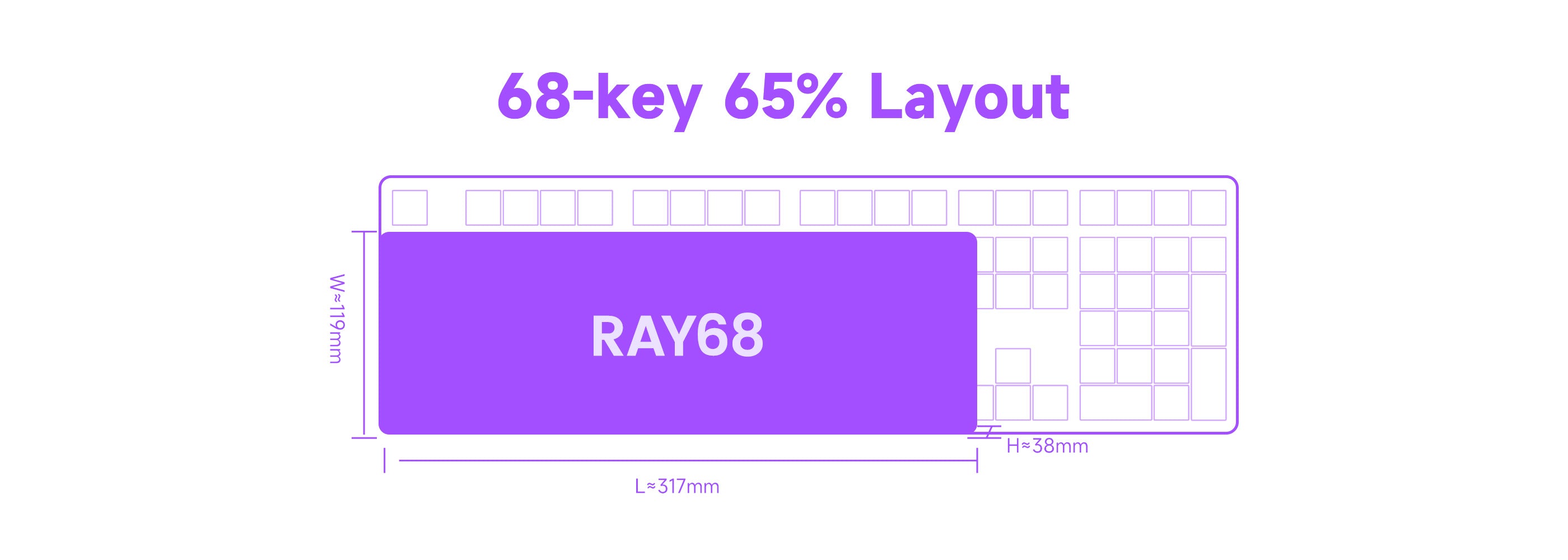 Ray68-Size
